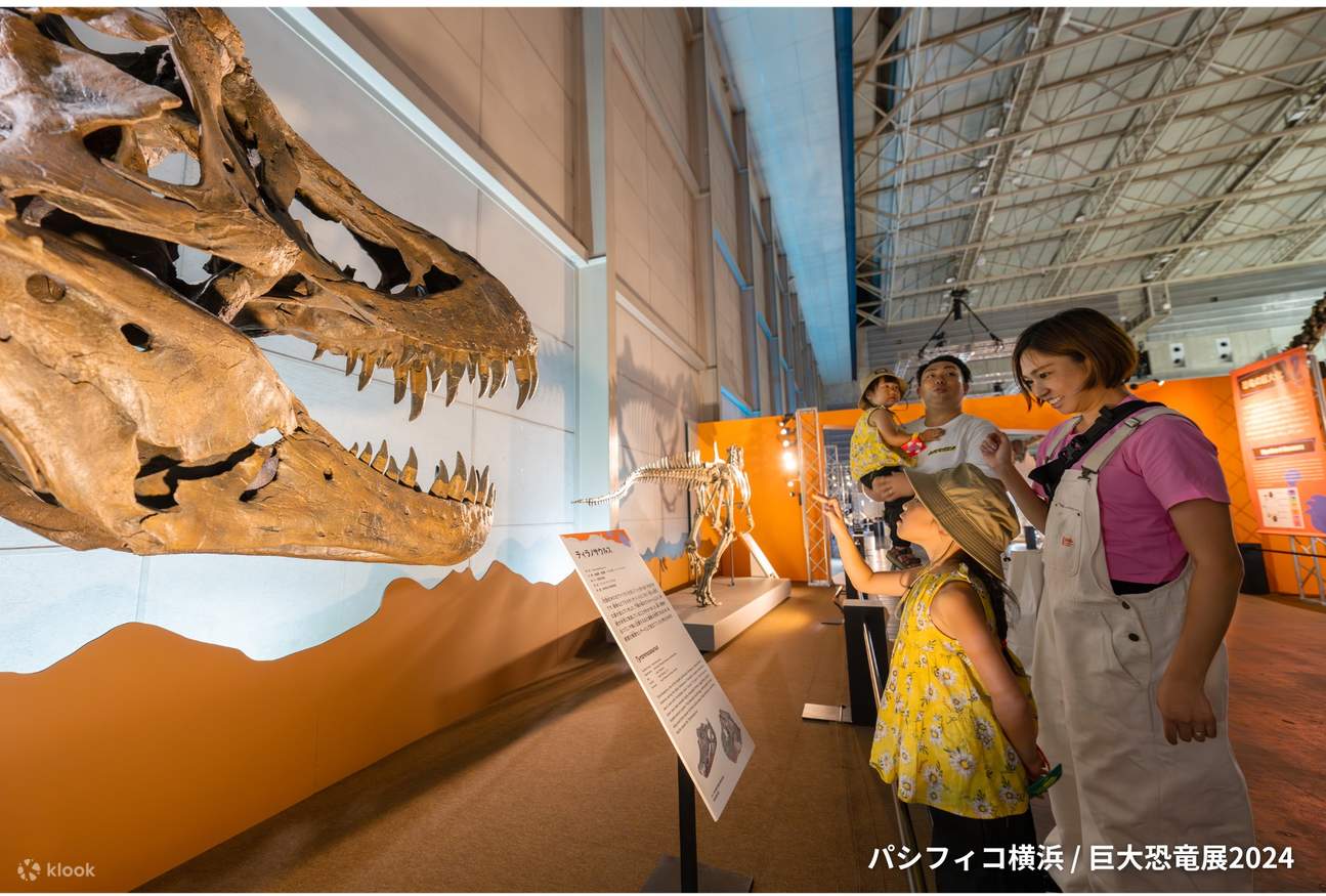 セール　巨大恐竜展 2024 パタゴティタン・マヨルム 骨格レリーフ　海洋堂 Amazon.co.jp: 期間限定・巨大恐竜展 2024 パタゴティタン